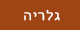 גלריה
